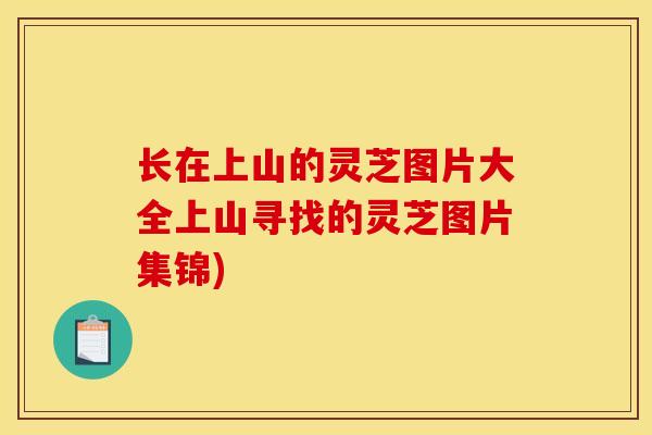 长在上山的灵芝图片大全上山寻找的灵芝图片集锦)