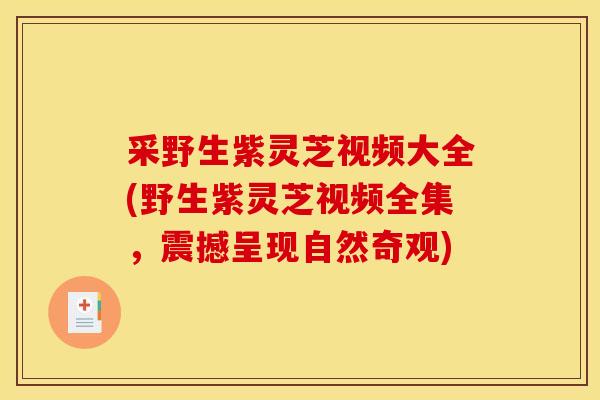 采野生紫灵芝视频大全(野生紫灵芝视频全集,震撼呈现自然奇观)