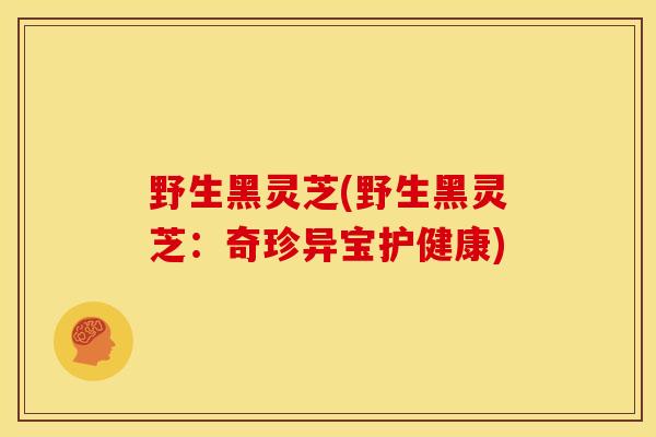 野生黑灵芝(野生黑灵芝:奇珍异宝护健康)