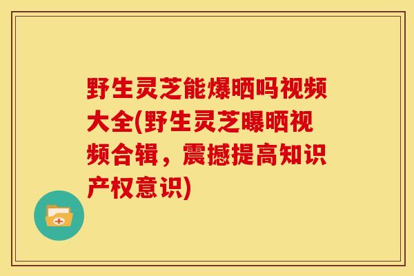 野生灵芝能爆晒吗视频大全(野生灵芝曝晒视频合辑，震撼提高知识产权意识)