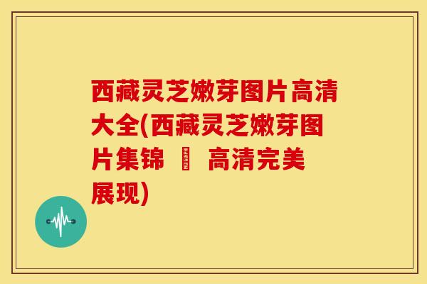 西藏灵芝嫩芽图片高清大全(西藏灵芝嫩芽图片集锦 – 高清完美展现)