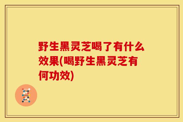 野生黑灵芝喝了有什么效果(喝野生黑灵芝有何功效)