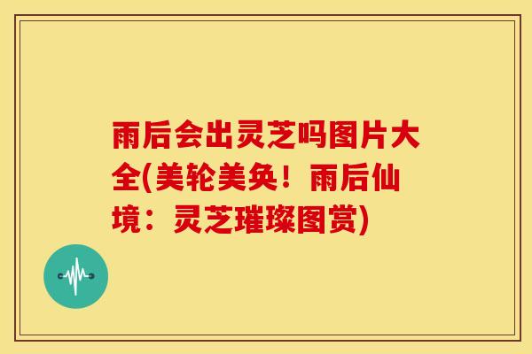 雨后会出灵芝吗图片大全(美轮美奂!雨后仙境:灵芝璀璨图赏)