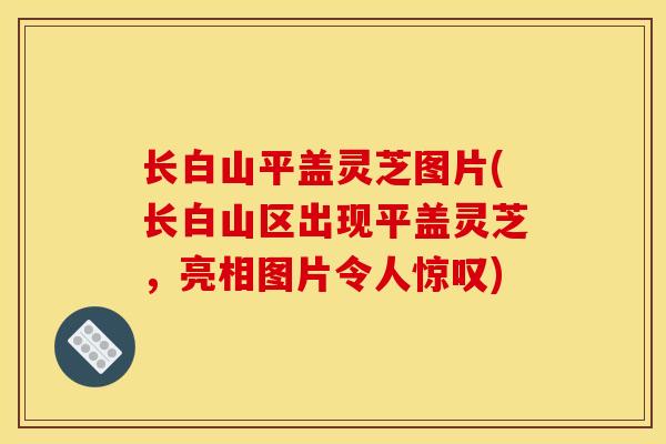长白山平盖灵芝图片(长白山区出现平盖灵芝,亮相图片令人惊叹)