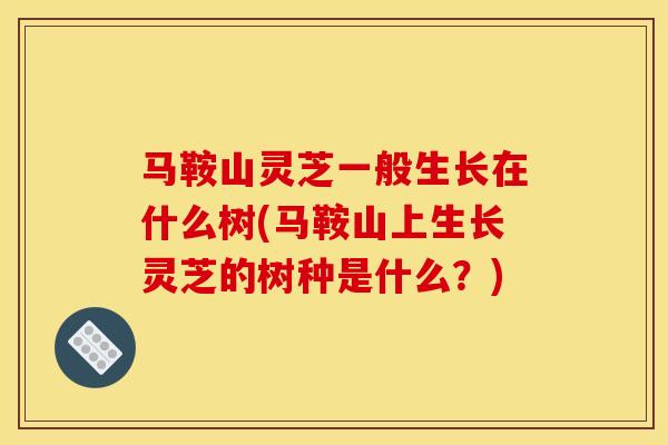 马鞍山灵芝一般生长在什么树(马鞍山上生长灵芝的树种是什么?)