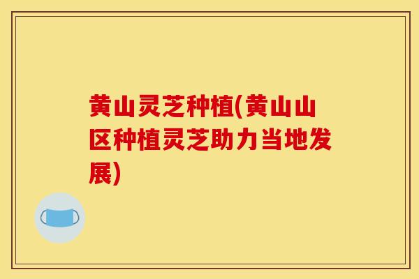黄山灵芝种植(黄山山区种植灵芝助力当地发展)