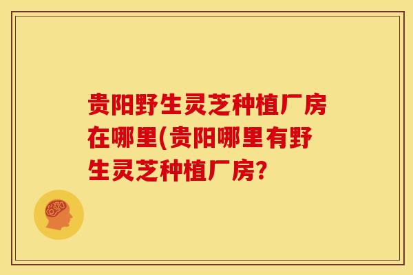 贵阳野生灵芝种植厂房在哪里(贵阳哪里有野生灵芝种植厂房？