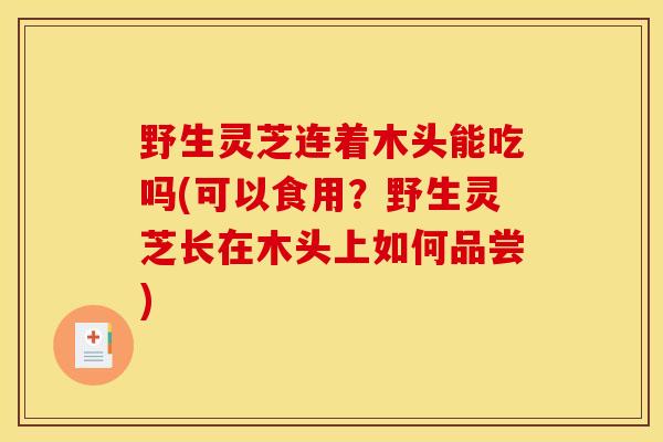 野生灵芝连着木头能吃吗(可以食用?野生灵芝长在木头上如何品尝)