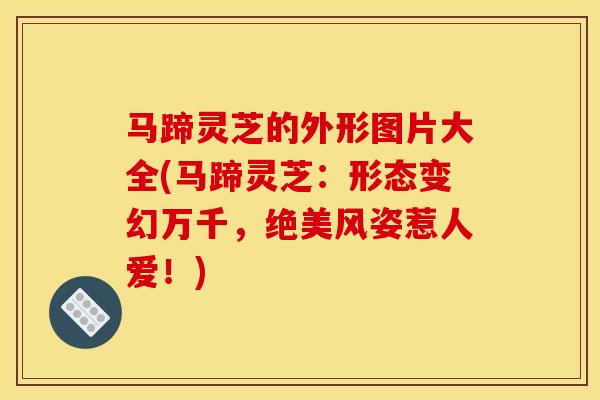 马蹄灵芝的外形图片大全(马蹄灵芝:形态变幻万千,绝美风姿惹人爱!)
