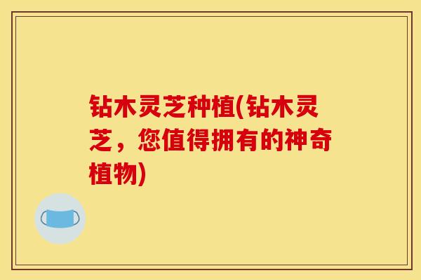 钻木灵芝种植(钻木灵芝，您值得拥有的神奇植物)