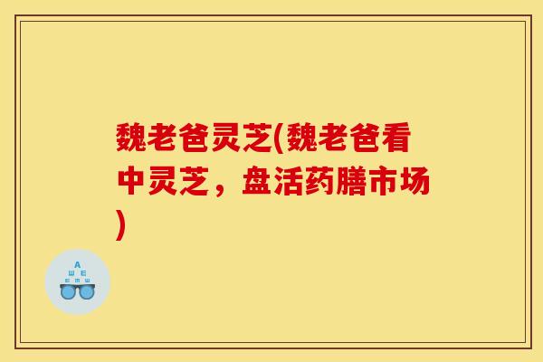 魏老爸灵芝(魏老爸看中灵芝，盘活药膳市场)