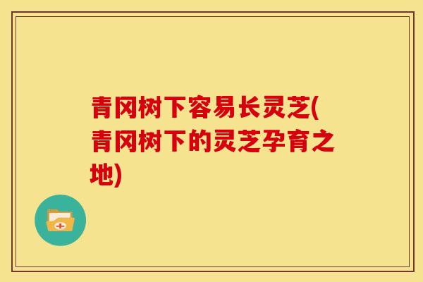 青冈树下容易长灵芝(青冈树下的灵芝孕育之地)