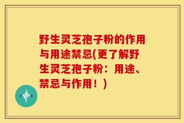 野生灵芝孢子粉的作用与用途禁忌(更了解野生灵芝孢子粉:用途、禁忌与作用!)