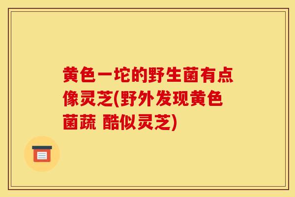 黄色一坨的野生菌有点像灵芝(野外发现黄色菌蔬 酷似灵芝)