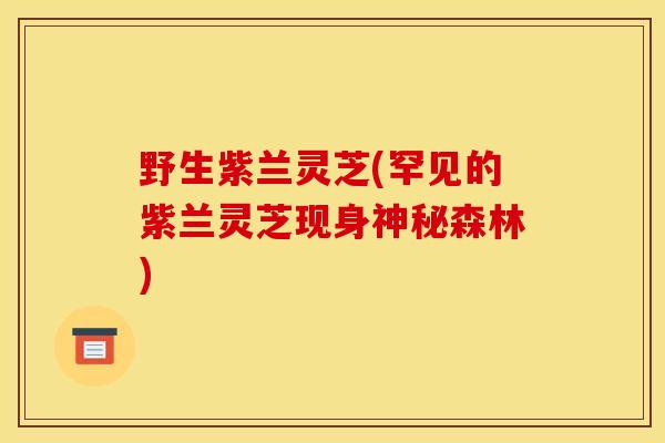 野生紫兰灵芝(罕见的紫兰灵芝现身神秘森林)