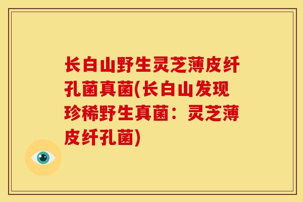长白山野生灵芝薄皮纤孔菌真菌(长白山发现珍稀野生真菌：灵芝薄皮纤孔菌)