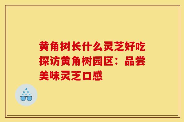 黄角树长什么灵芝好吃探访黄角树园区：品尝美味灵芝口感