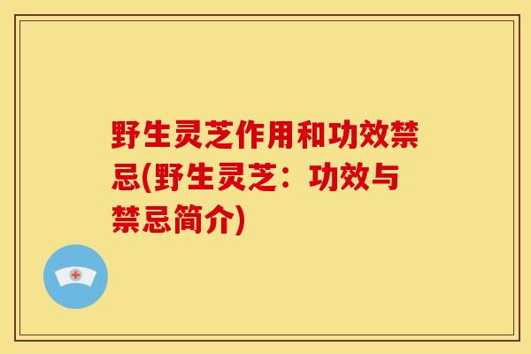 野生灵芝作用和功效禁忌(野生灵芝:功效与禁忌简介)