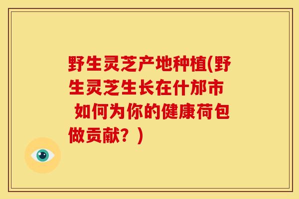 野生灵芝产地种植(野生灵芝生长在什邡市  如何为你的健康荷包做贡献？)