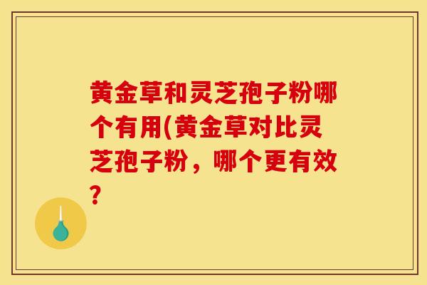 黄金草和灵芝孢子粉哪个有用(黄金草对比灵芝孢子粉,哪个更有效?