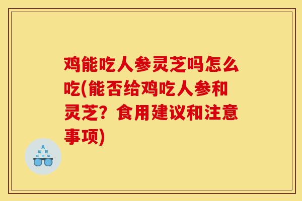鸡能吃人参灵芝吗怎么吃(能否给鸡吃人参和灵芝？食用建议和注意事项)