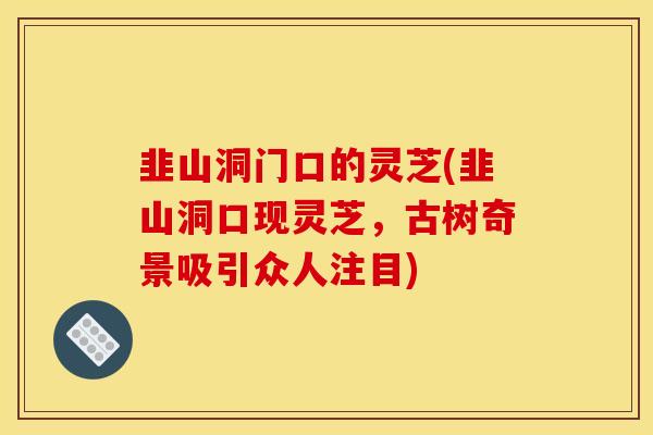 韭山洞门口的灵芝(韭山洞口现灵芝，古树奇景吸引众人注目)