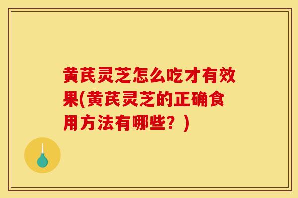 黄芪灵芝怎么吃才有效果(黄芪灵芝的正确食用方法有哪些?)