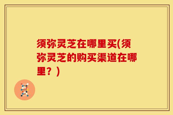 须弥灵芝在哪里买(须弥灵芝的购买渠道在哪里?)