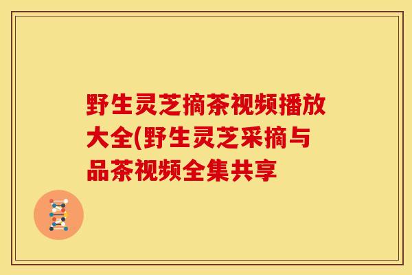 野生灵芝摘茶视频播放大全(野生灵芝采摘与品茶视频全集共享
