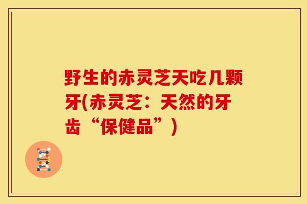野生的赤灵芝天吃几颗牙(赤灵芝:天然的牙齿“保健品”)
