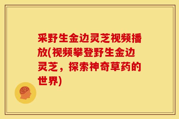 采野生金边灵芝视频播放(视频攀登野生金边灵芝,探索神奇草药的世界)