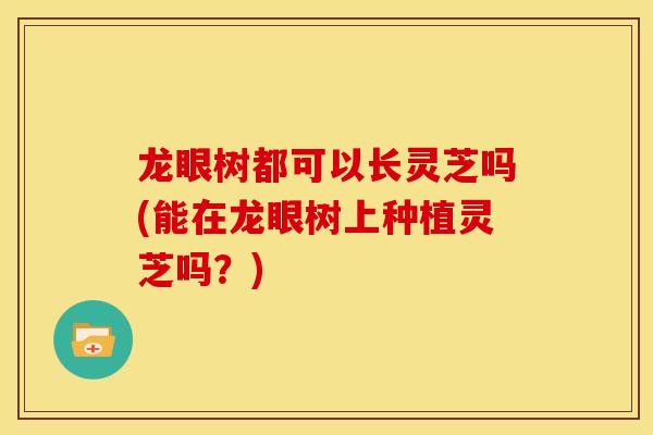 龙眼树都可以长灵芝吗(能在龙眼树上种植灵芝吗?)