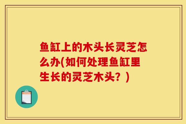鱼缸上的木头长灵芝怎么办(如何处理鱼缸里生长的灵芝木头？)