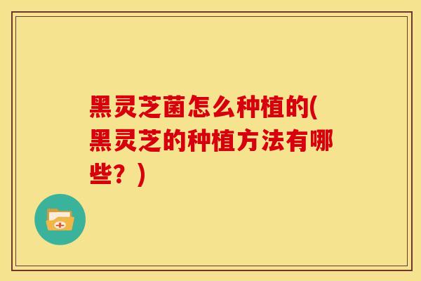 黑灵芝菌怎么种植的(黑灵芝的种植方法有哪些?)