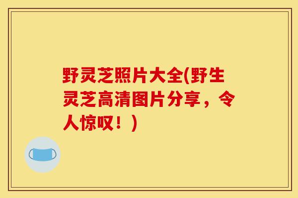 野灵芝照片大全(野生灵芝高清图片分享，令人惊叹！)