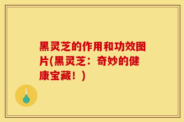 黑灵芝的作用和功效图片(黑灵芝:奇妙的健康宝藏!)