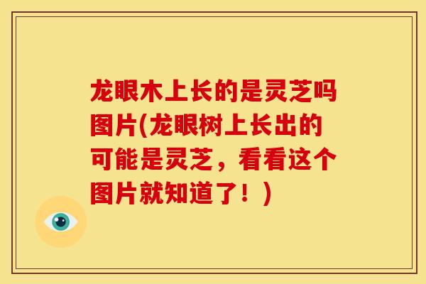 龙眼木上长的是灵芝吗图片(龙眼树上长出的可能是灵芝,看看这个图片就知道了!)