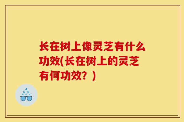 长在树上像灵芝有什么功效(长在树上的灵芝有何功效？)