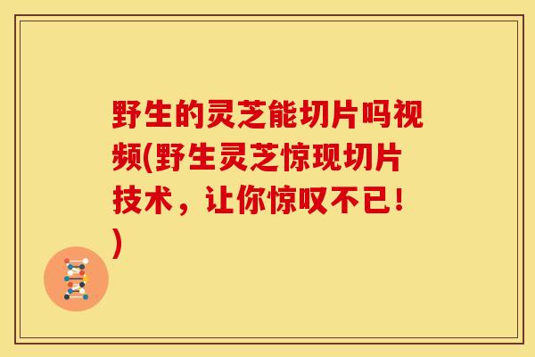 野生的灵芝能切片吗视频(野生灵芝惊现切片技术,让你惊叹不已!)