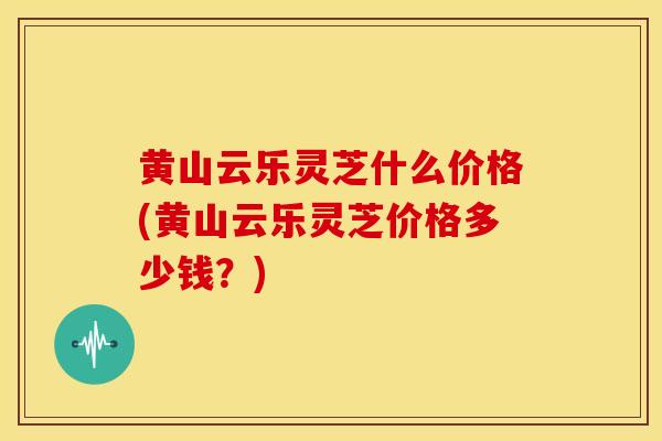 黄山云乐灵芝什么价格(黄山云乐灵芝价格多少钱？)