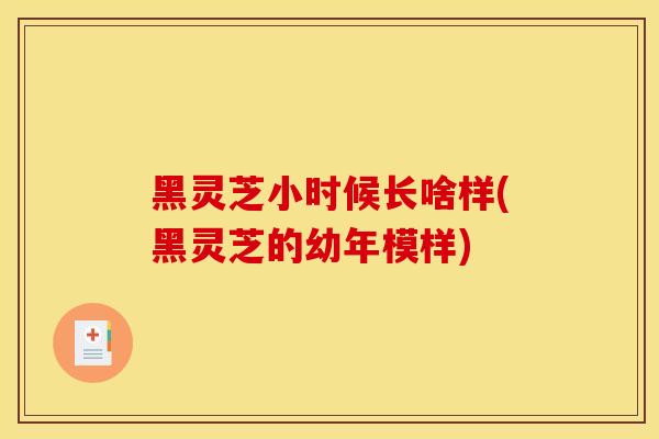 黑灵芝小时候长啥样(黑灵芝的幼年模样)