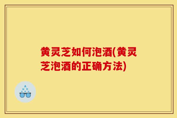 黄灵芝如何泡酒(黄灵芝泡酒的正确方法)