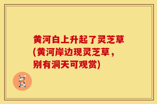 黄河白上升起了灵芝草(黄河岸边现灵芝草,别有洞天可观赏)