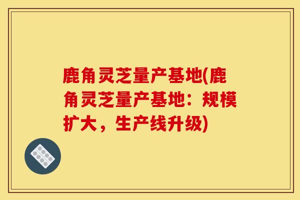 鹿角灵芝量产基地(鹿角灵芝量产基地:规模扩大,生产线升级)