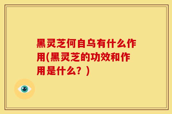 黑灵芝何自乌有什么作用(黑灵芝的功效和作用是什么?)