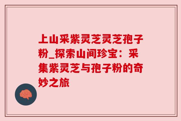 上山采紫灵芝灵芝孢子粉_探索山间珍宝：采集紫灵芝与孢子粉的奇妙之旅