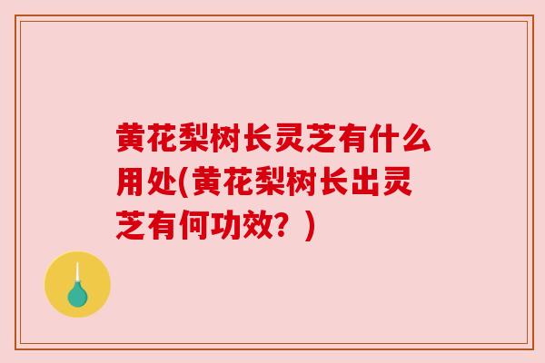 黄花梨树长灵芝有什么用处(黄花梨树长出灵芝有何功效？)