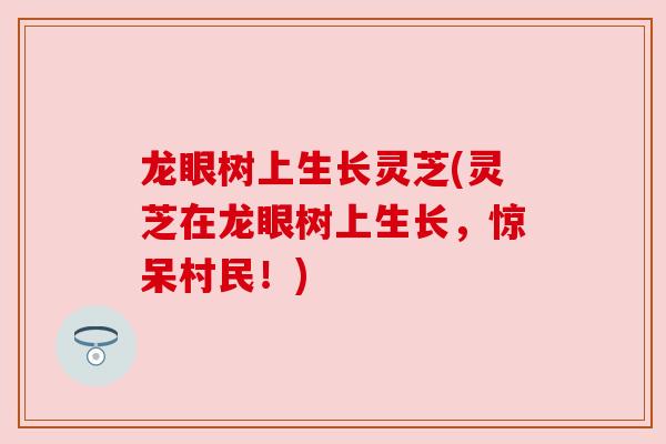 龙眼树上生长灵芝(灵芝在龙眼树上生长,惊呆村民!)