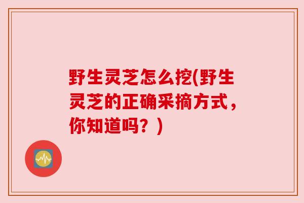 野生灵芝怎么挖(野生灵芝的正确采摘方式，你知道吗？)