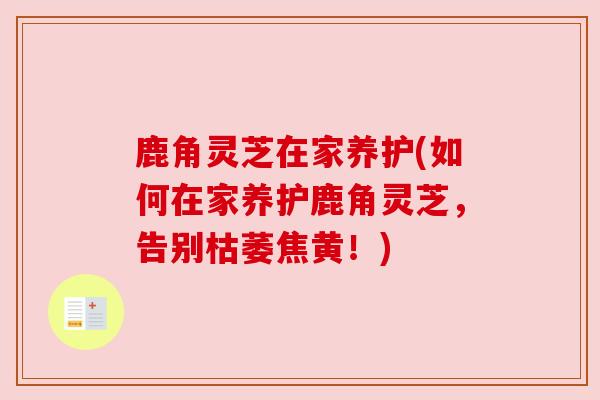 鹿角灵芝在家养护(如何在家养护鹿角灵芝,告别枯萎焦黄!)